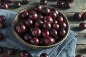 Read more about the article How to Make Muscadine Wine (Step by Step Guide)